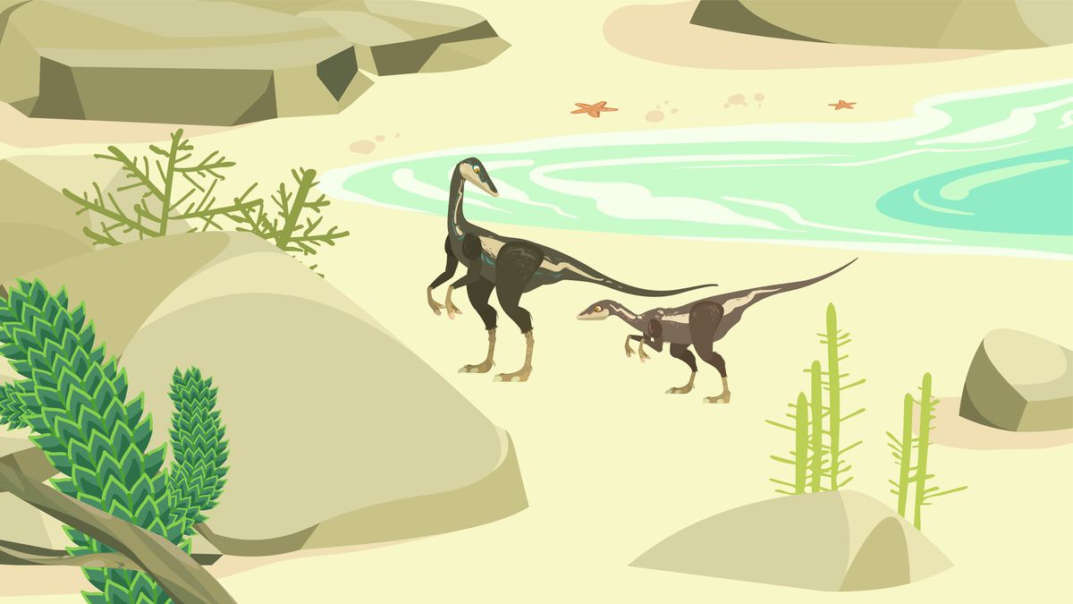 Le Compsognathus | 