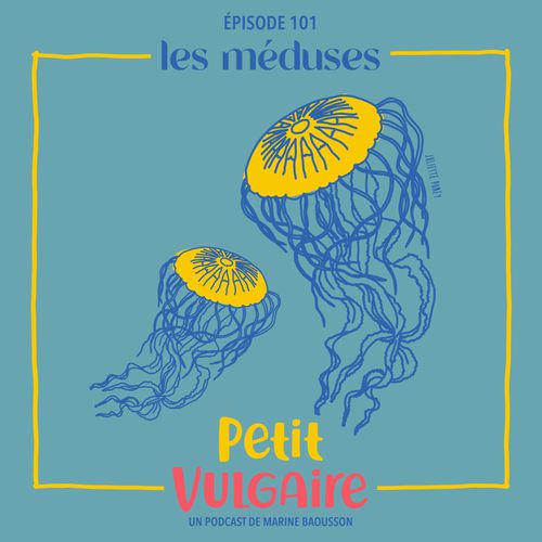 Les méduses | Lucie Le Moine, Marine Baousson (auteur)