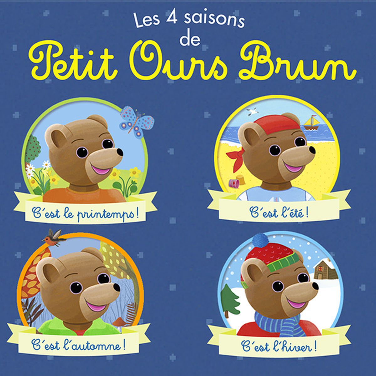 Petit ours brun sur