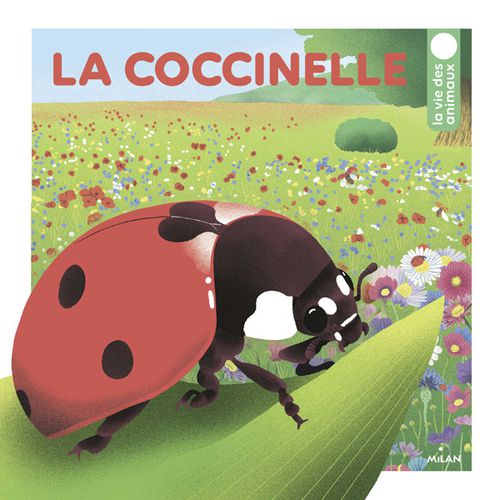 La coccinelle | Pascale Hédelin, Nikol (auteur)