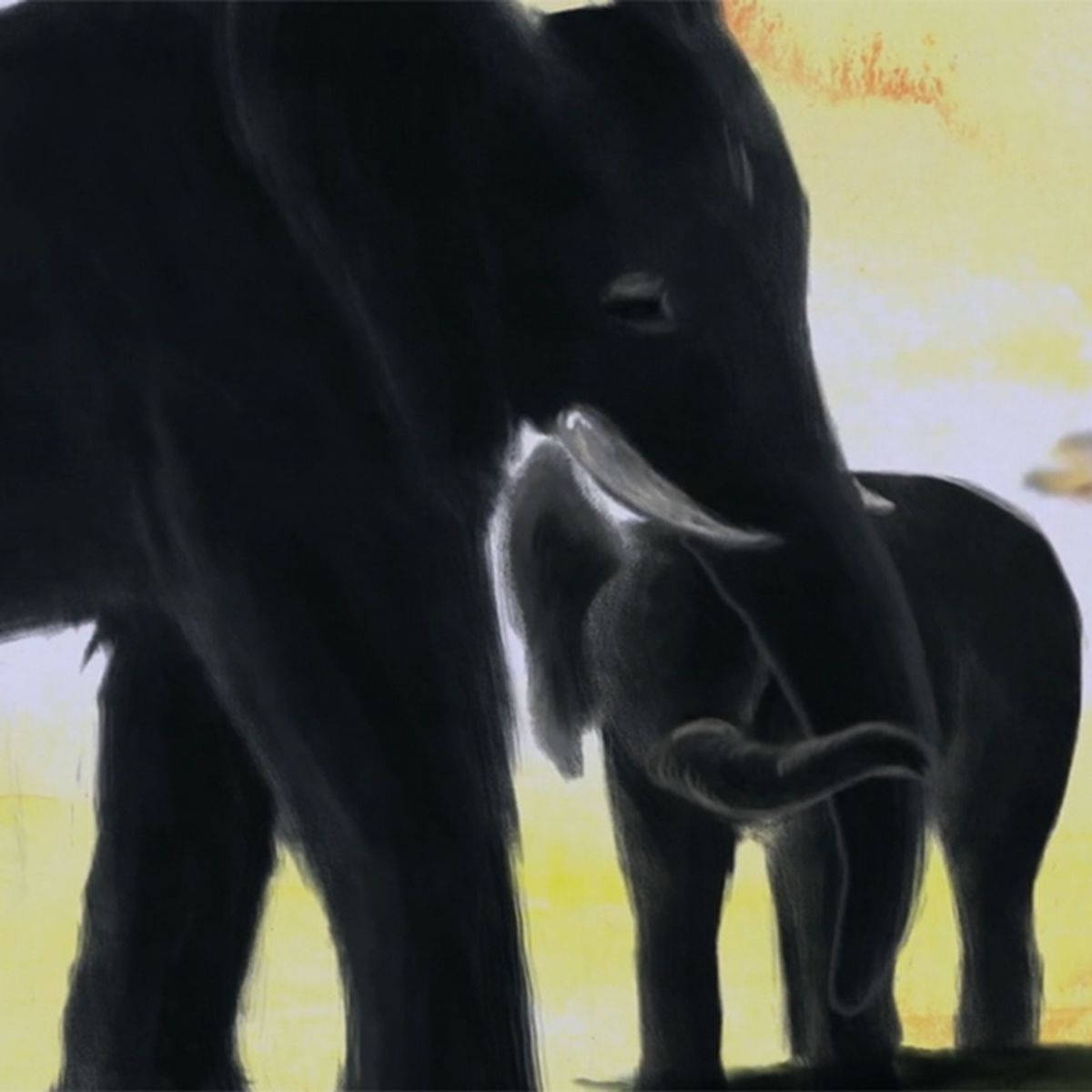 Les éléphants | Lisa Klmenz (directeur)