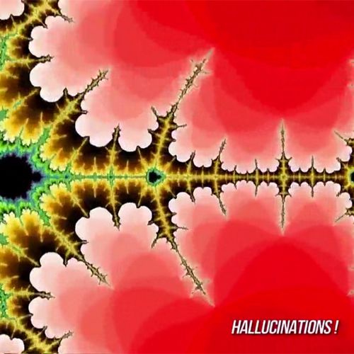 Hallucinations | Philippe Nessmann  (auteur)