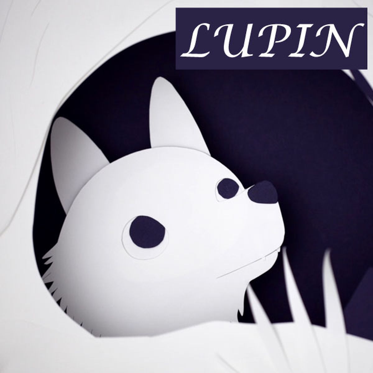 Lupin | 