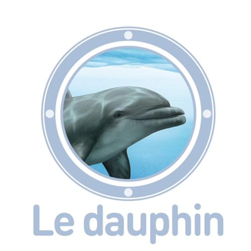 Le dauphin | Emmanuel Chanut (auteur)