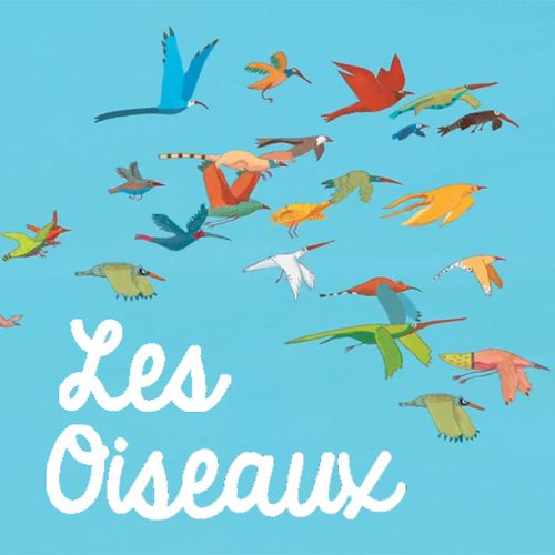Les Oiseaux | Germano Zullo, Albertine (auteur)