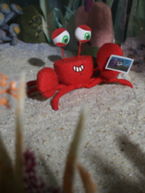 l'escargot p .png