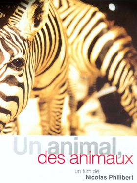 affiche-un-animal-des-animaux-1.jpg