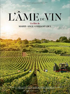 nour-films-ame-du-vin.jpg