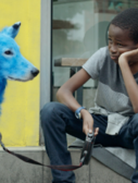 chien-bleu(c)Mariam Baradji (Soraya)1.png