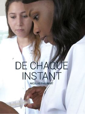 de chaque instant poster dim .jpg