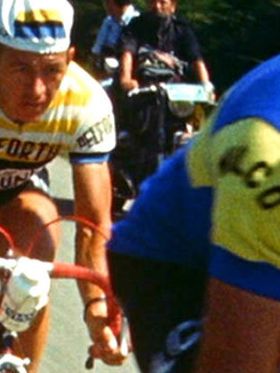 viveletour.jpg